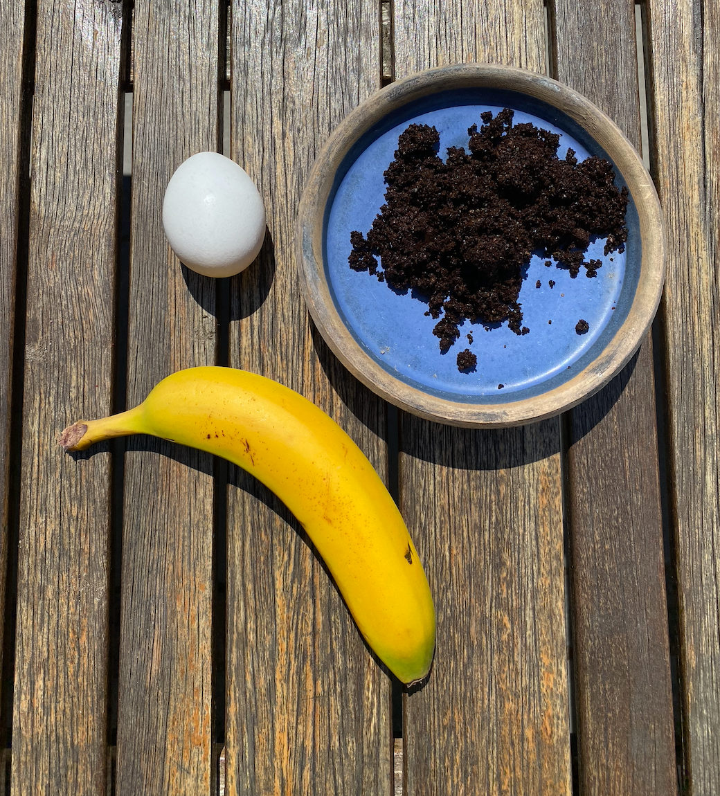 Banane, Ei und eine Schale Kaffeesatz auf einem Gartentisch: die Zutaten für selbst gemachten Dünger